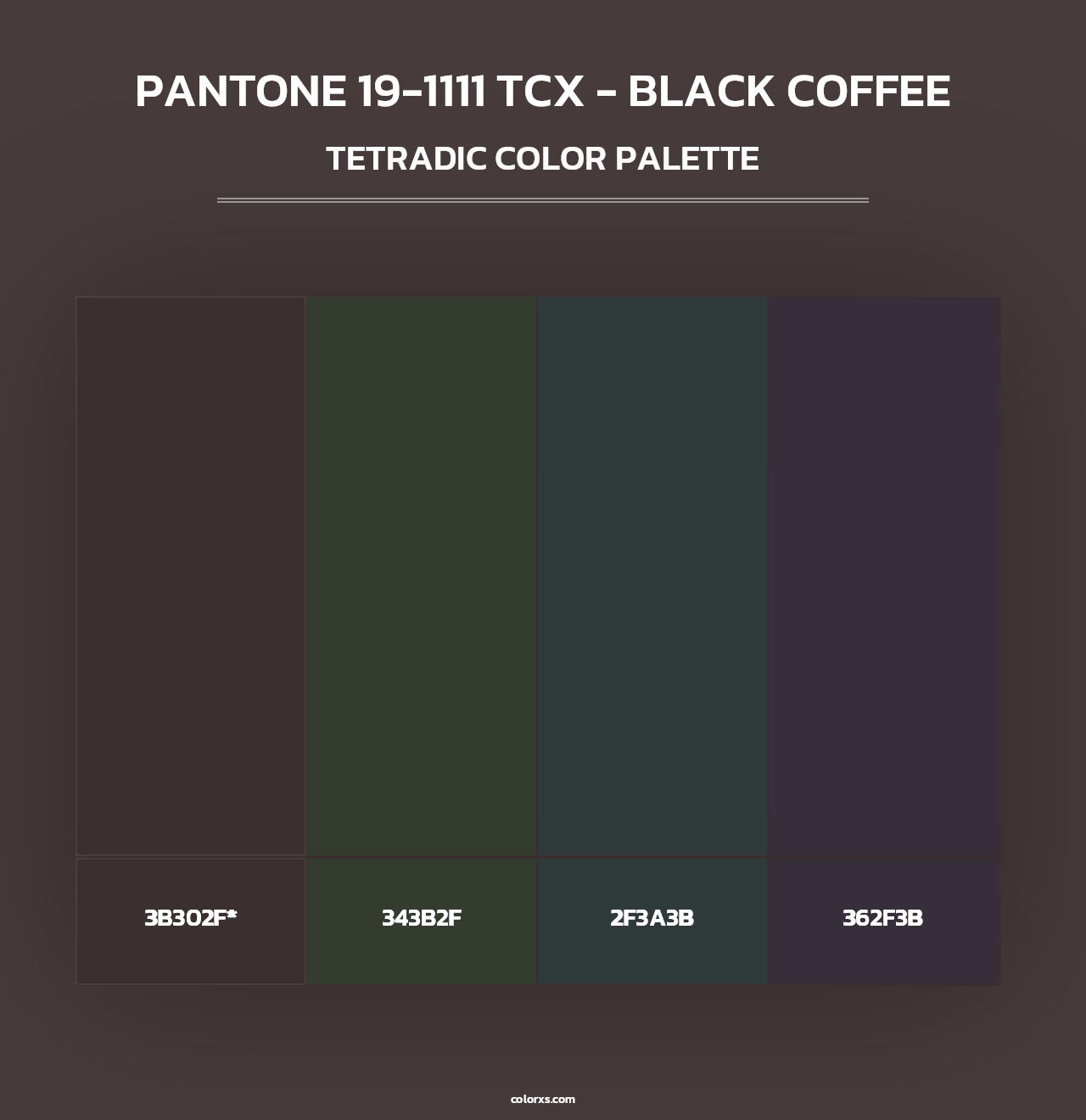 PANTONE 19-1111 TCX - Black Coffee - Tetradic Color Palette