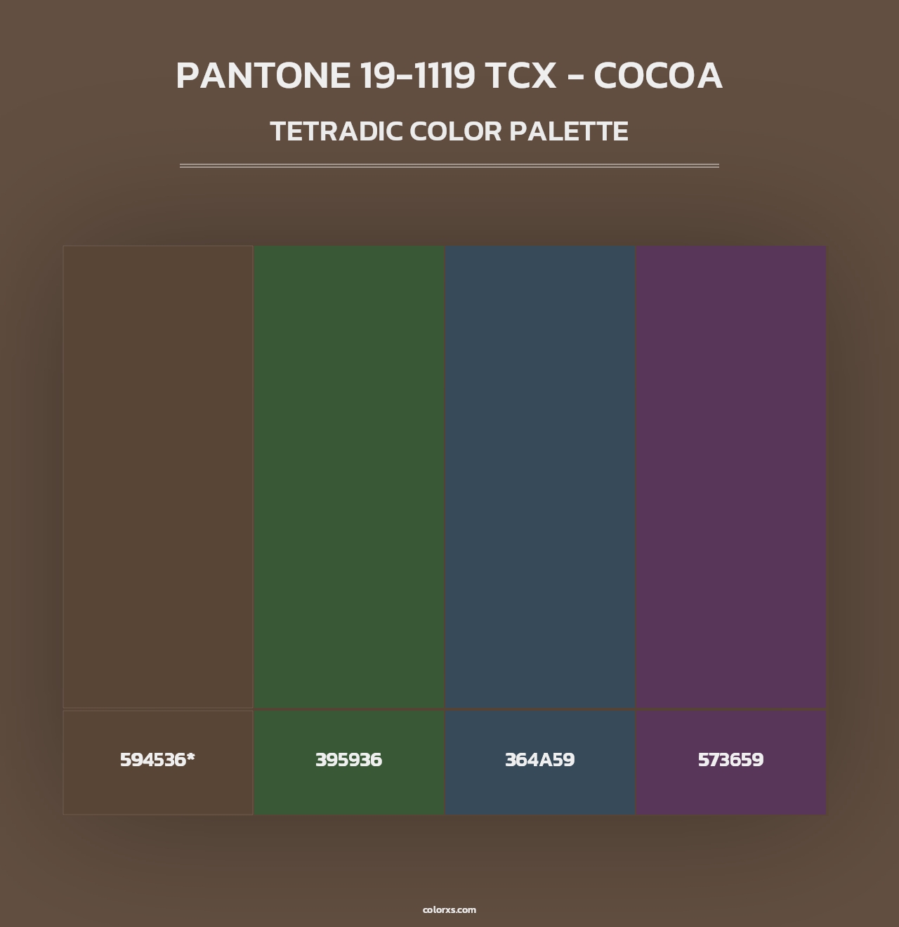 PANTONE 19-1119 TCX - Cocoa - Tetradic Color Palette