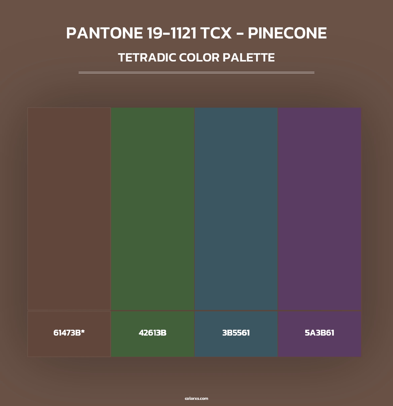PANTONE 19-1121 TCX - Pinecone - Tetradic Color Palette