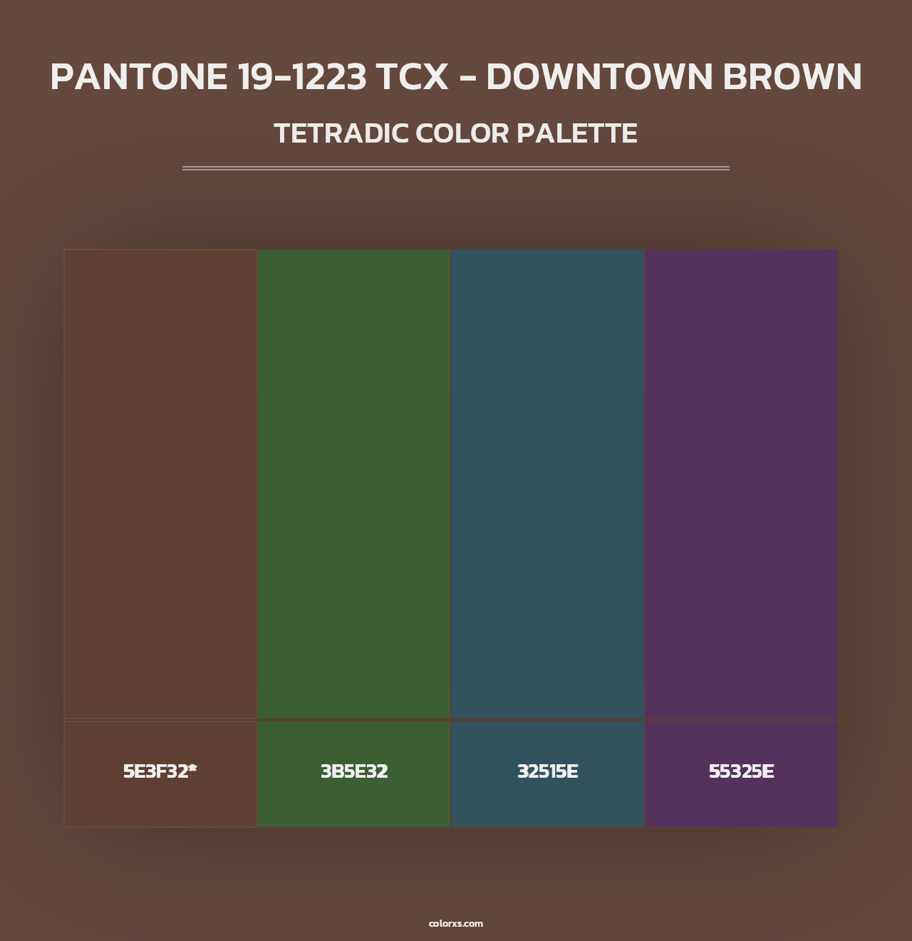 PANTONE 19-1223 TCX - Downtown Brown - Tetradic Color Palette