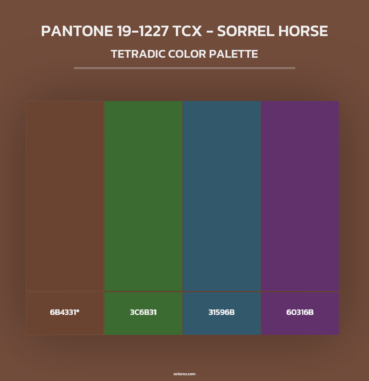 PANTONE 19-1227 TCX - Sorrel Horse - Tetradic Color Palette