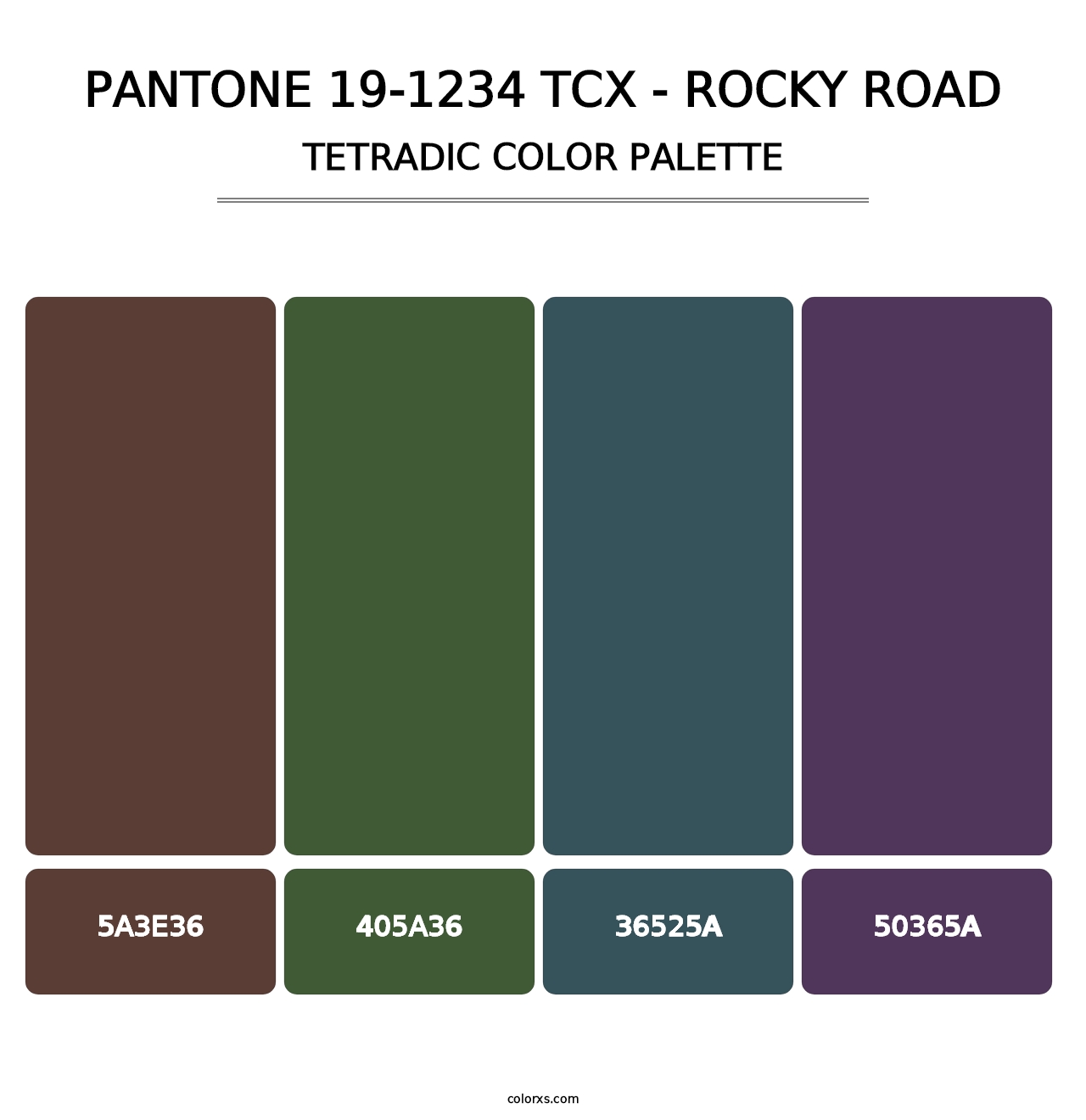 PANTONE 19-1234 TCX - Rocky Road - Tetradic Color Palette
