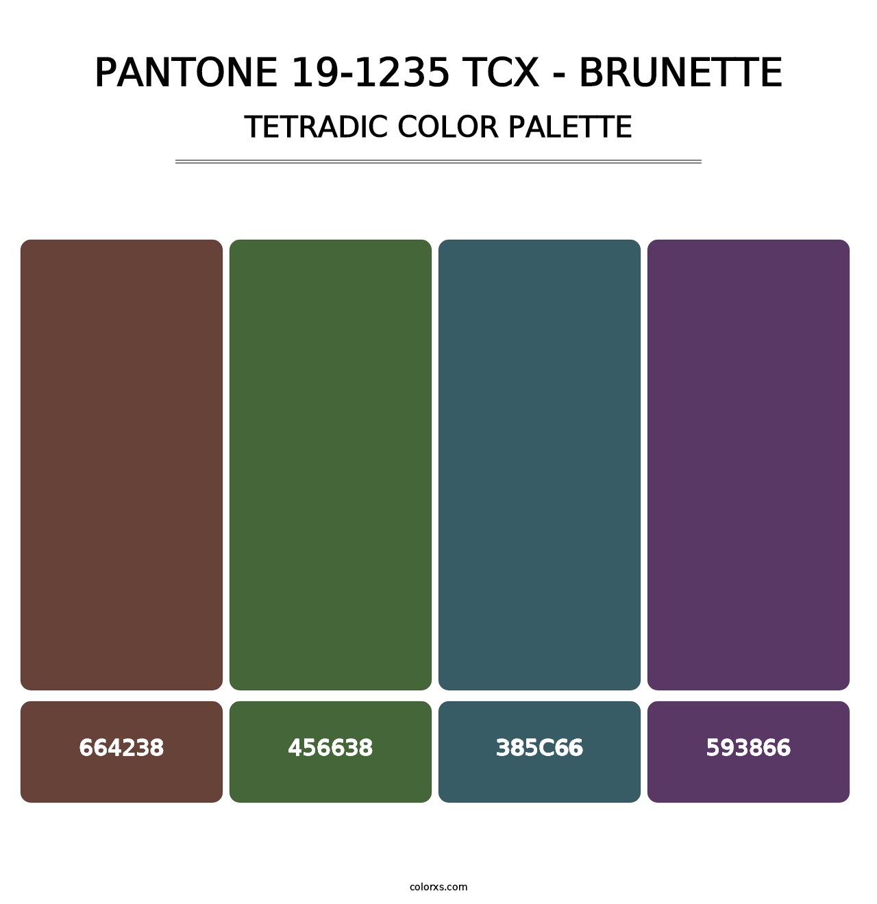 PANTONE 19-1235 TCX - Brunette - Tetradic Color Palette