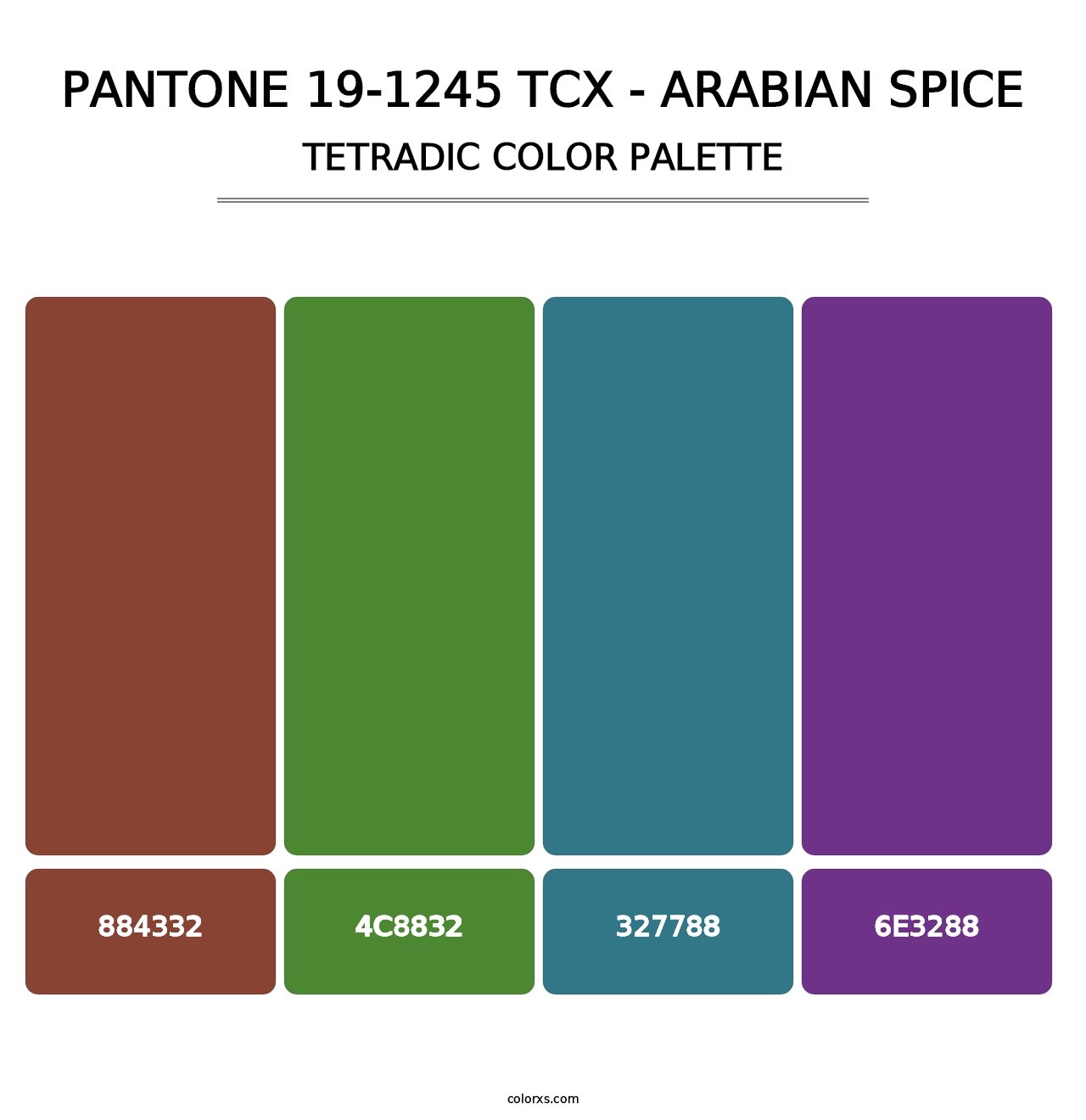 PANTONE 19-1245 TCX - Arabian Spice - Tetradic Color Palette