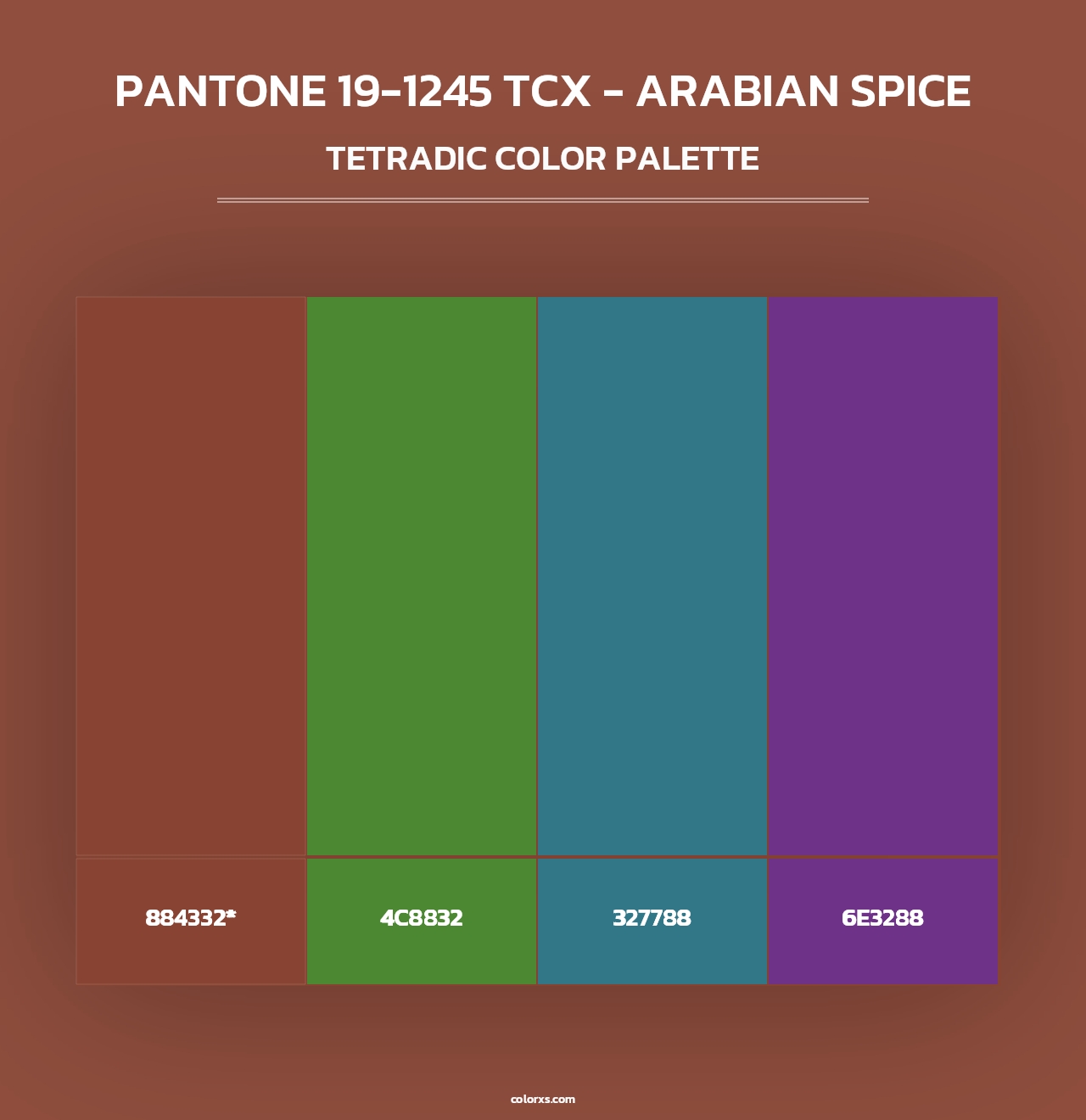 PANTONE 19-1245 TCX - Arabian Spice - Tetradic Color Palette