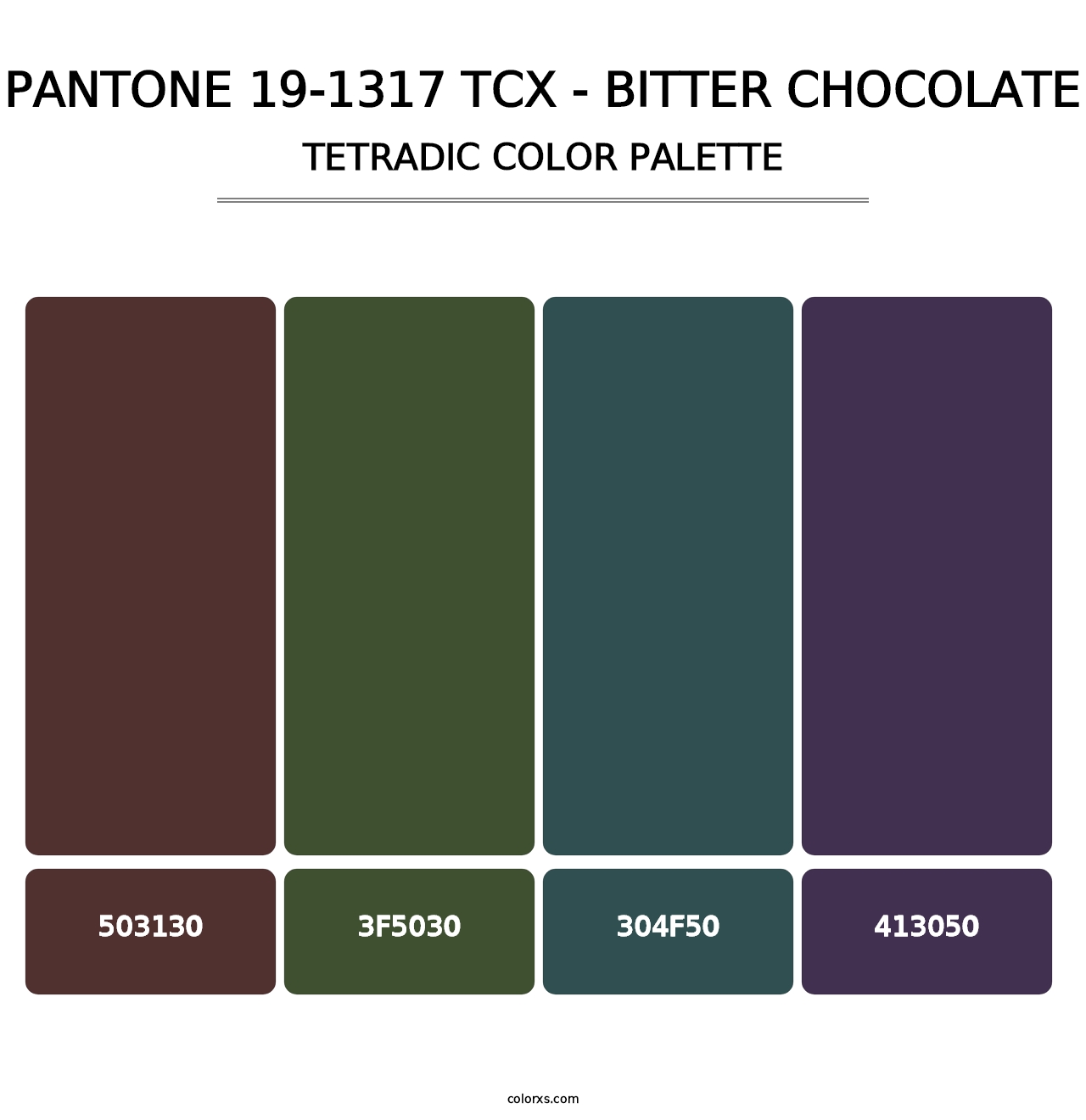PANTONE 19-1317 TCX - Bitter Chocolate - Tetradic Color Palette