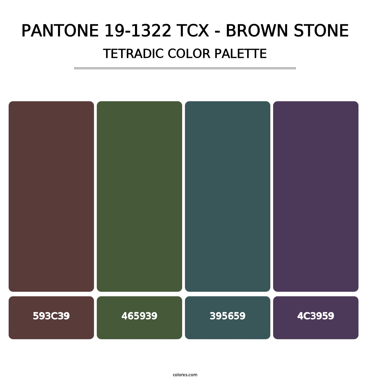 PANTONE 19-1322 TCX - Brown Stone - Tetradic Color Palette