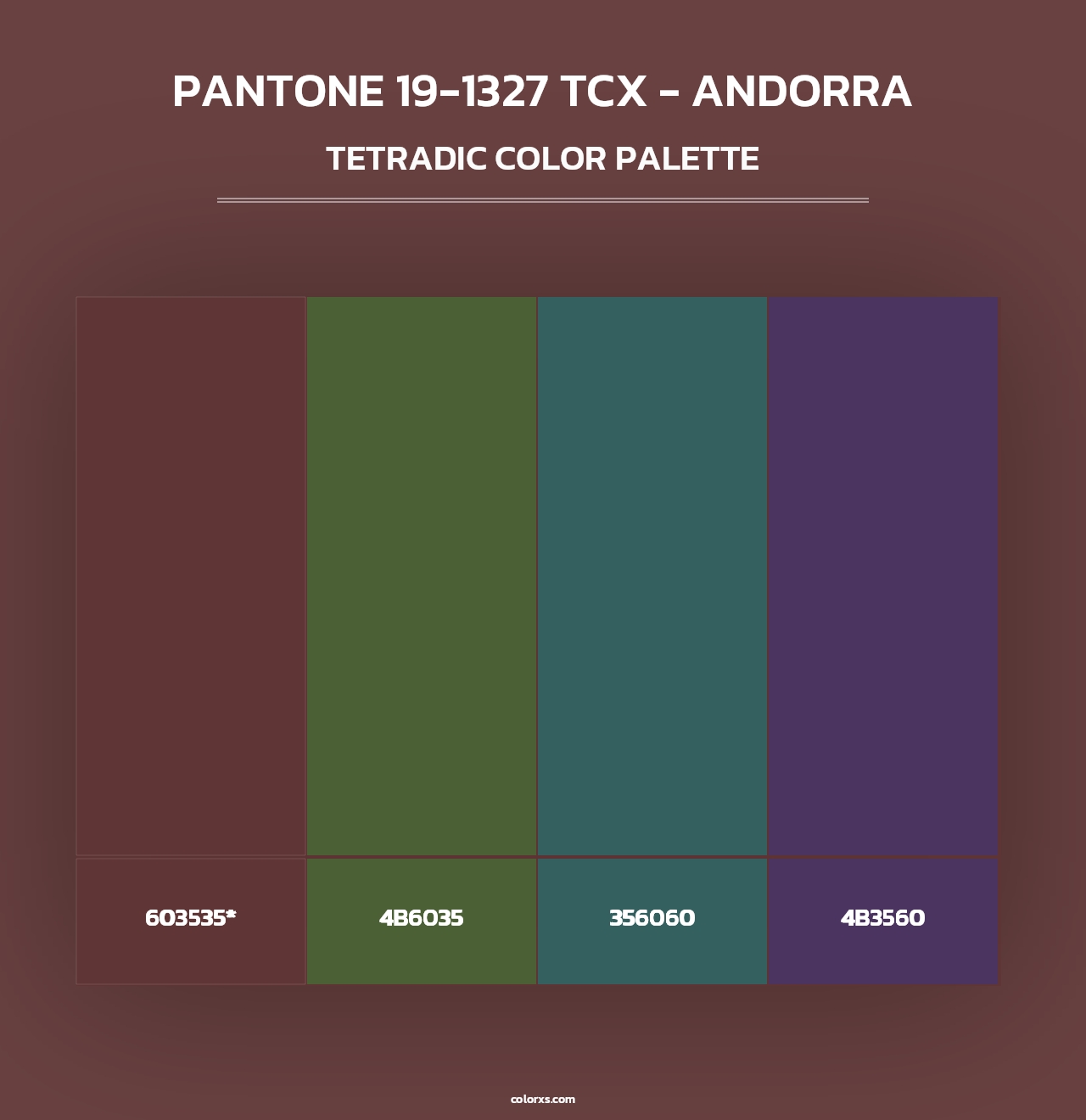 PANTONE 19-1327 TCX - Andorra - Tetradic Color Palette