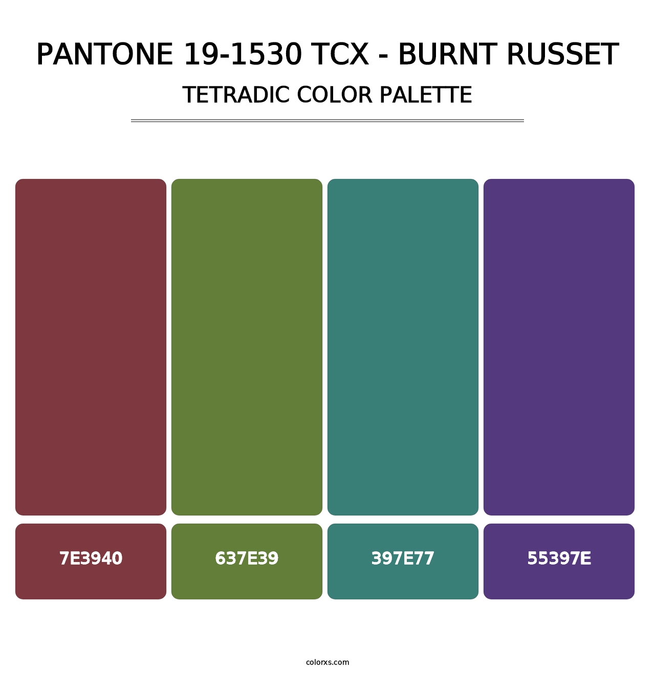 PANTONE 19-1530 TCX - Burnt Russet - Tetradic Color Palette