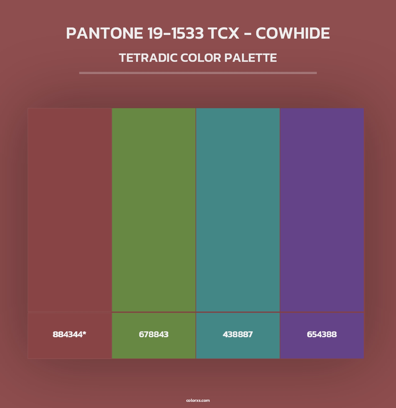 PANTONE 19-1533 TCX - Cowhide - Tetradic Color Palette