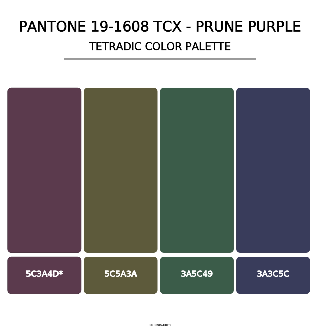 PANTONE 19-1608 TCX - Prune Purple - Tetradic Color Palette