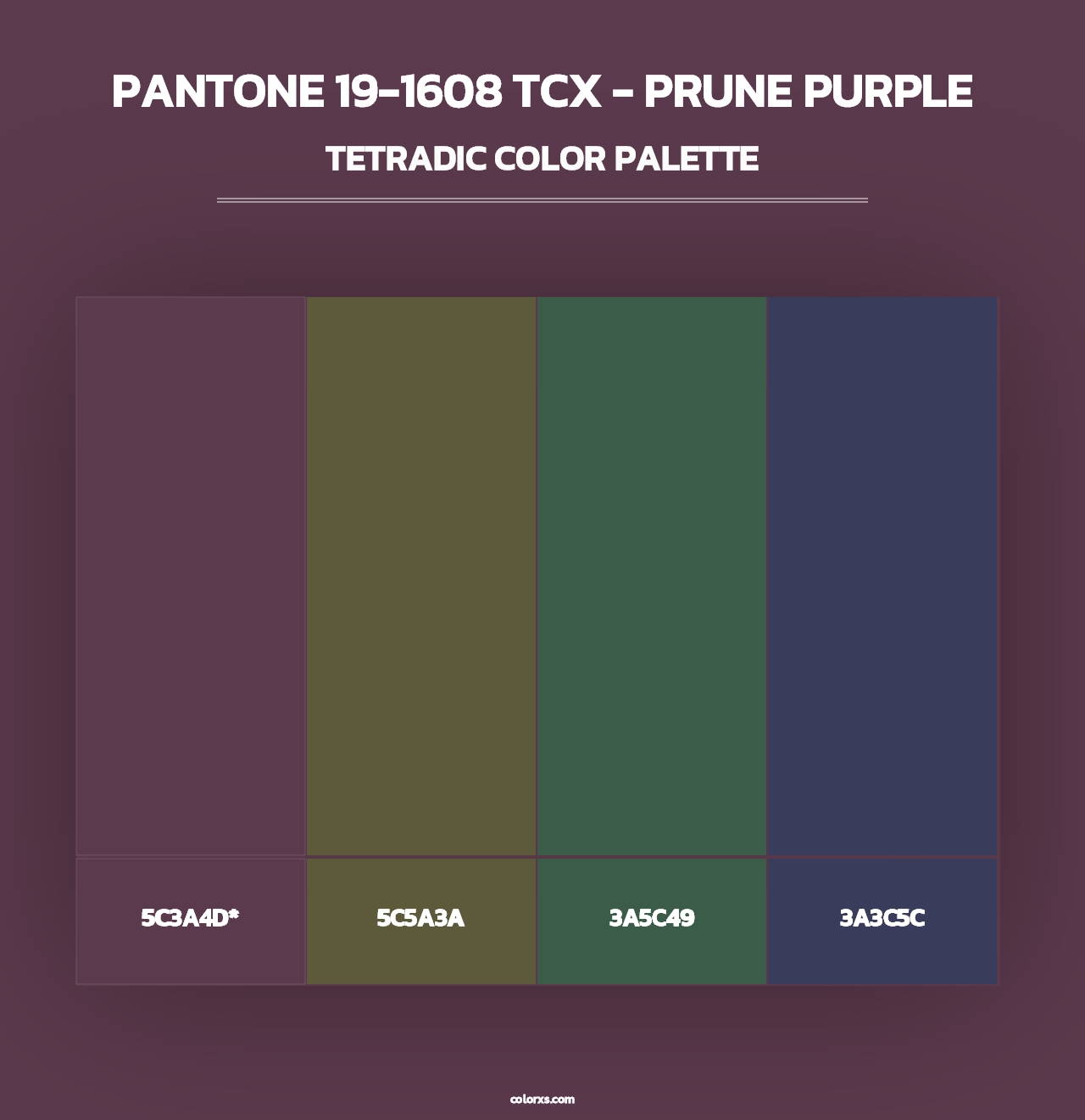 PANTONE 19-1608 TCX - Prune Purple - Tetradic Color Palette