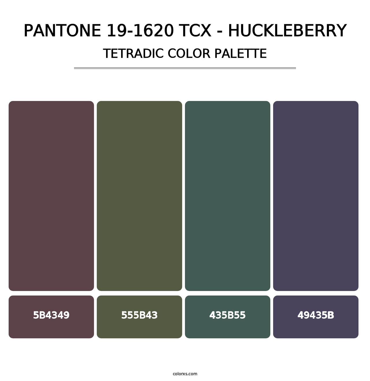 PANTONE 19-1620 TCX - Huckleberry - Tetradic Color Palette