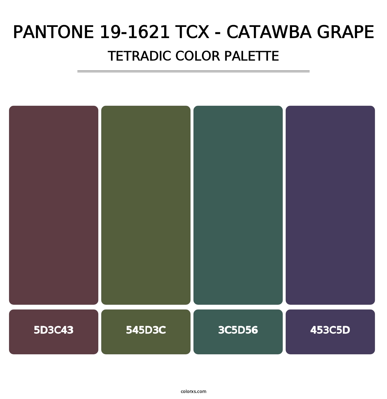 PANTONE 19-1621 TCX - Catawba Grape - Tetradic Color Palette
