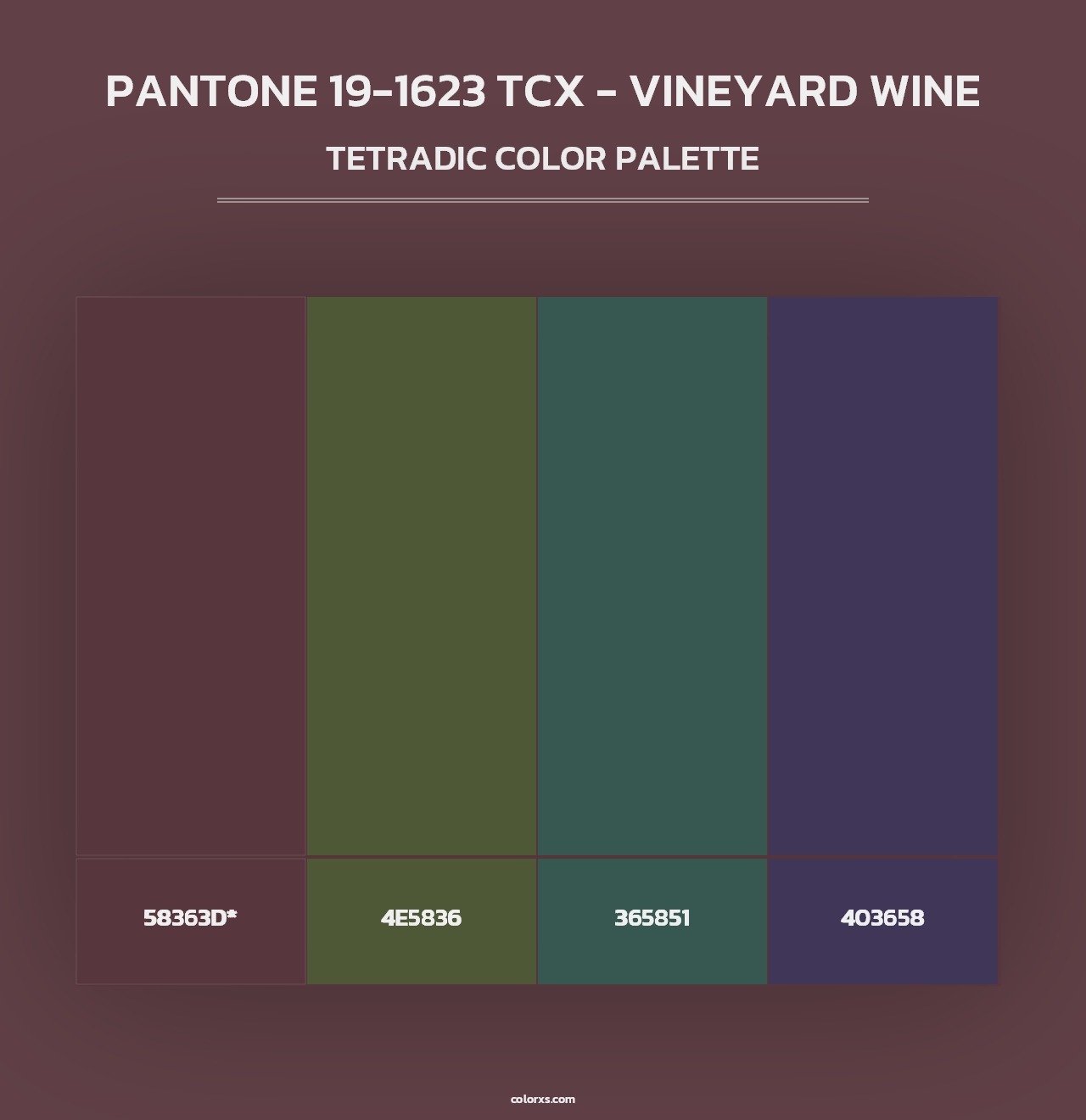 PANTONE 19-1623 TCX - Vineyard Wine - Tetradic Color Palette