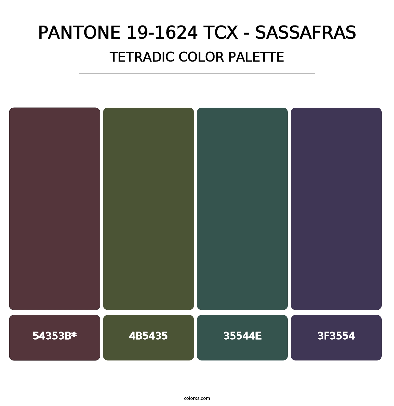 PANTONE 19-1624 TCX - Sassafras - Tetradic Color Palette