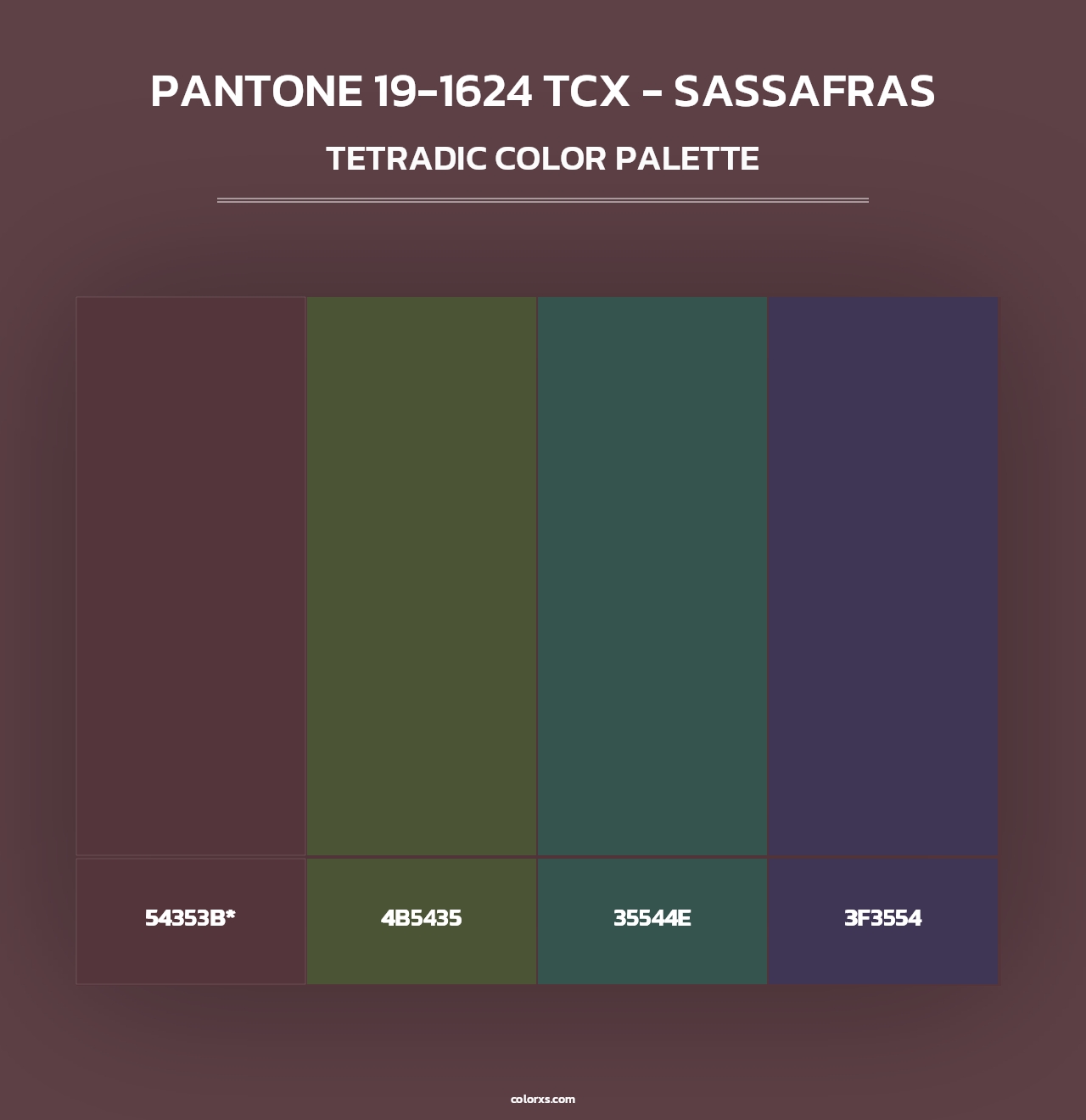 PANTONE 19-1624 TCX - Sassafras - Tetradic Color Palette