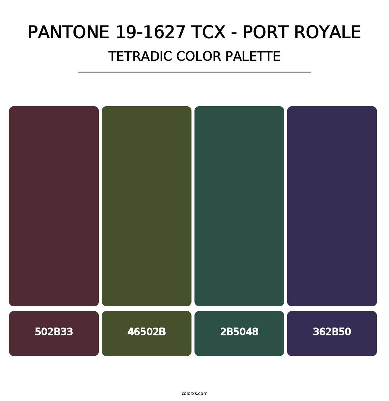 PANTONE 19-1627 TCX - Port Royale - Tetradic Color Palette