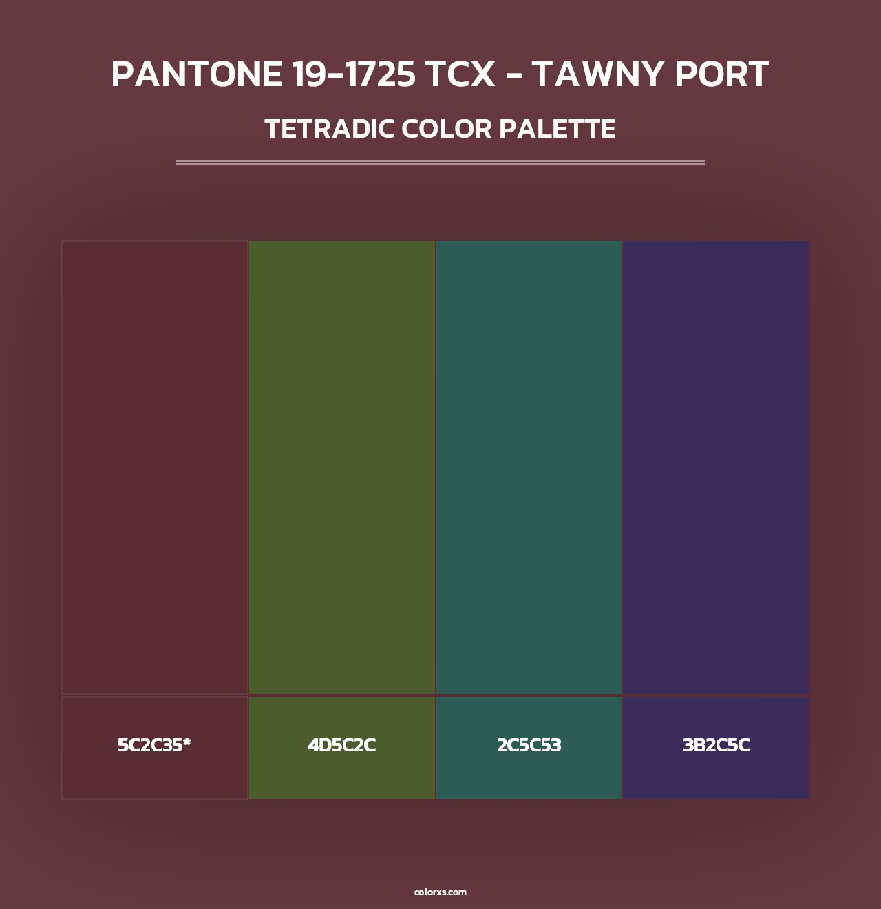 PANTONE 19-1725 TCX - Tawny Port - Tetradic Color Palette