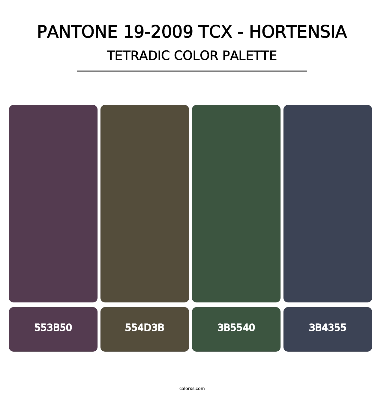PANTONE 19-2009 TCX - Hortensia - Tetradic Color Palette