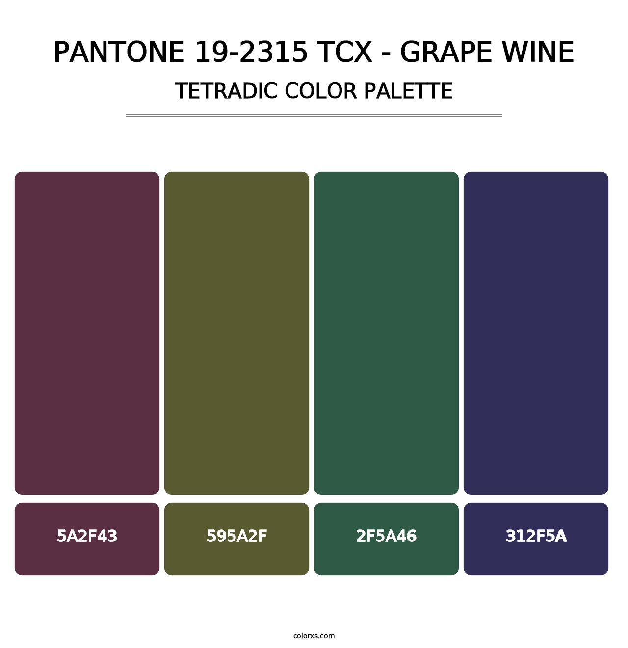 PANTONE 19-2315 TCX - Grape Wine - Tetradic Color Palette