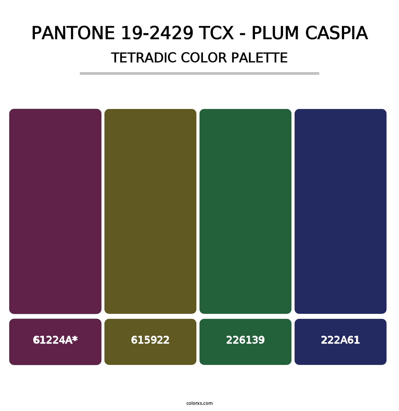 PANTONE 19-2429 TCX - Plum Caspia - Tetradic Color Palette