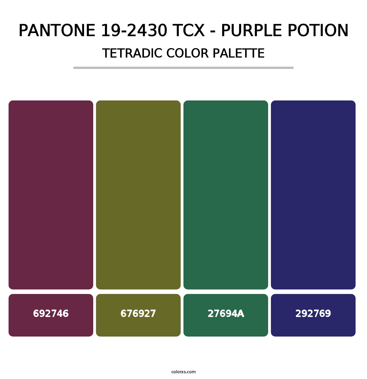 PANTONE 19-2430 TCX - Purple Potion - Tetradic Color Palette