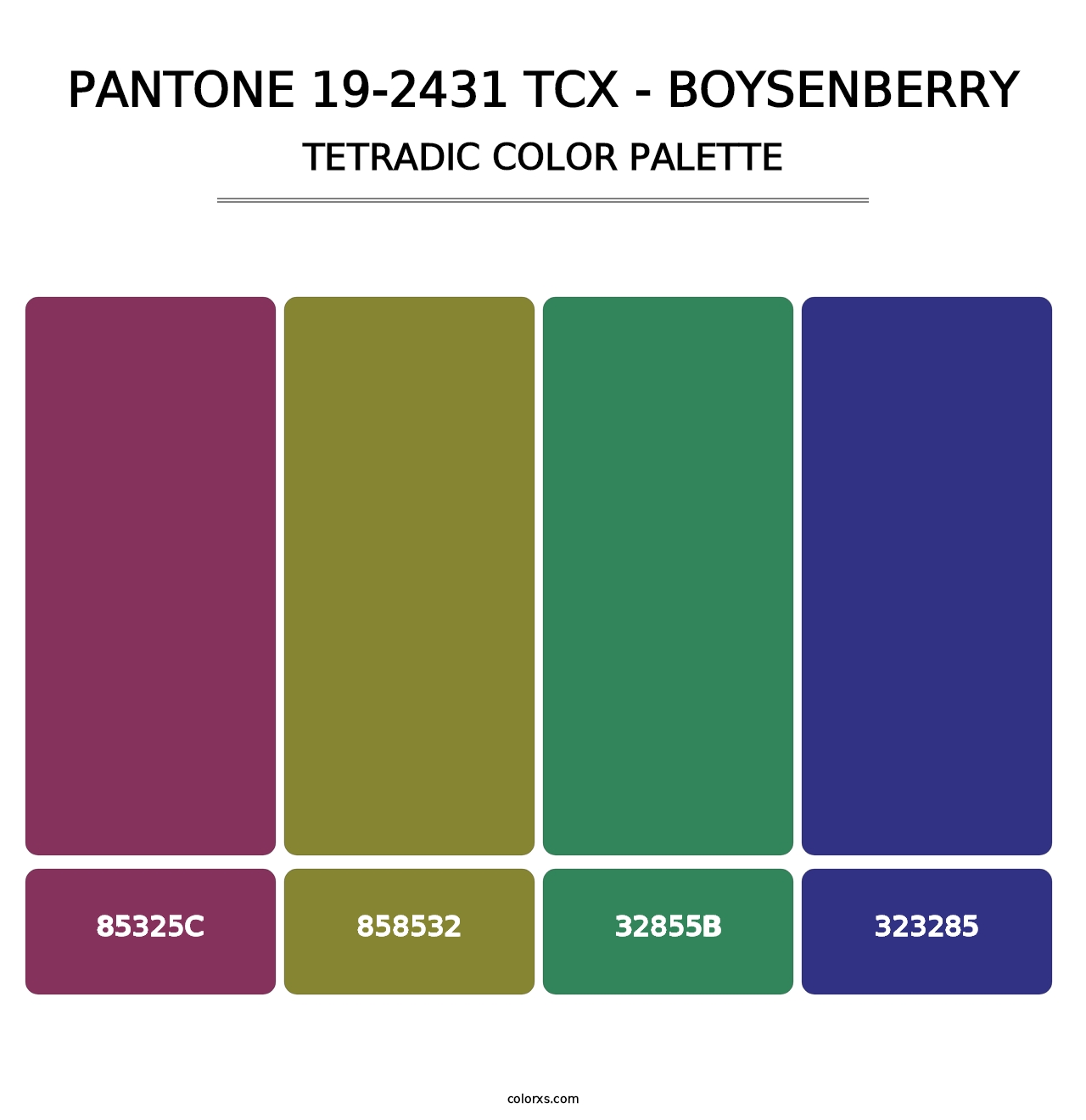 PANTONE 19-2431 TCX - Boysenberry - Tetradic Color Palette