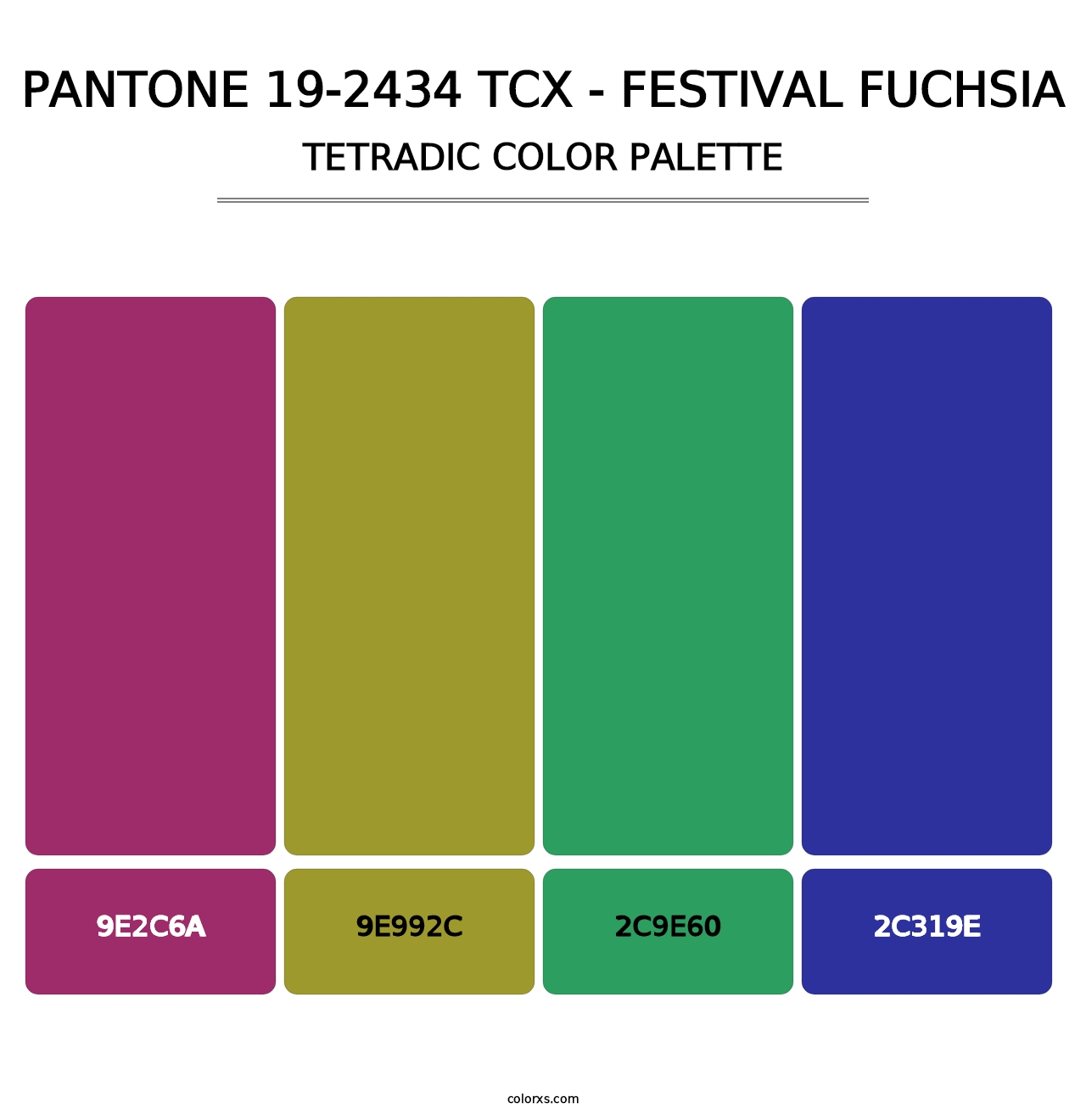 PANTONE 19-2434 TCX - Festival Fuchsia - Tetradic Color Palette