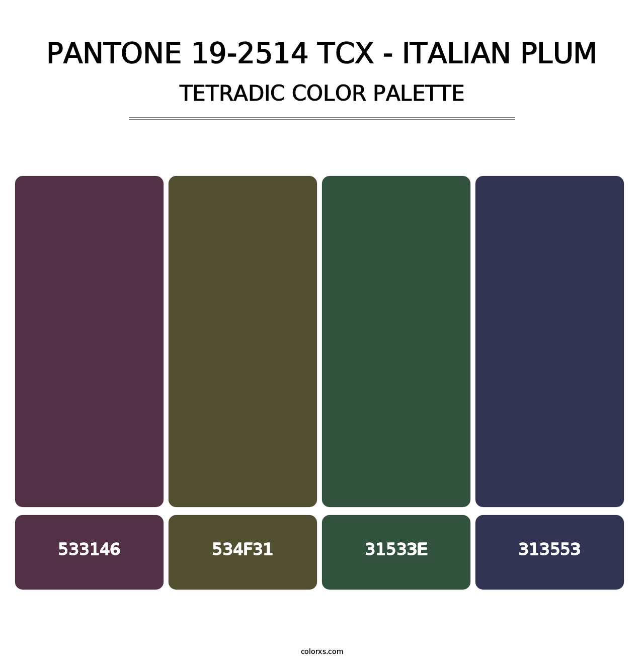 PANTONE 19-2514 TCX - Italian Plum - Tetradic Color Palette