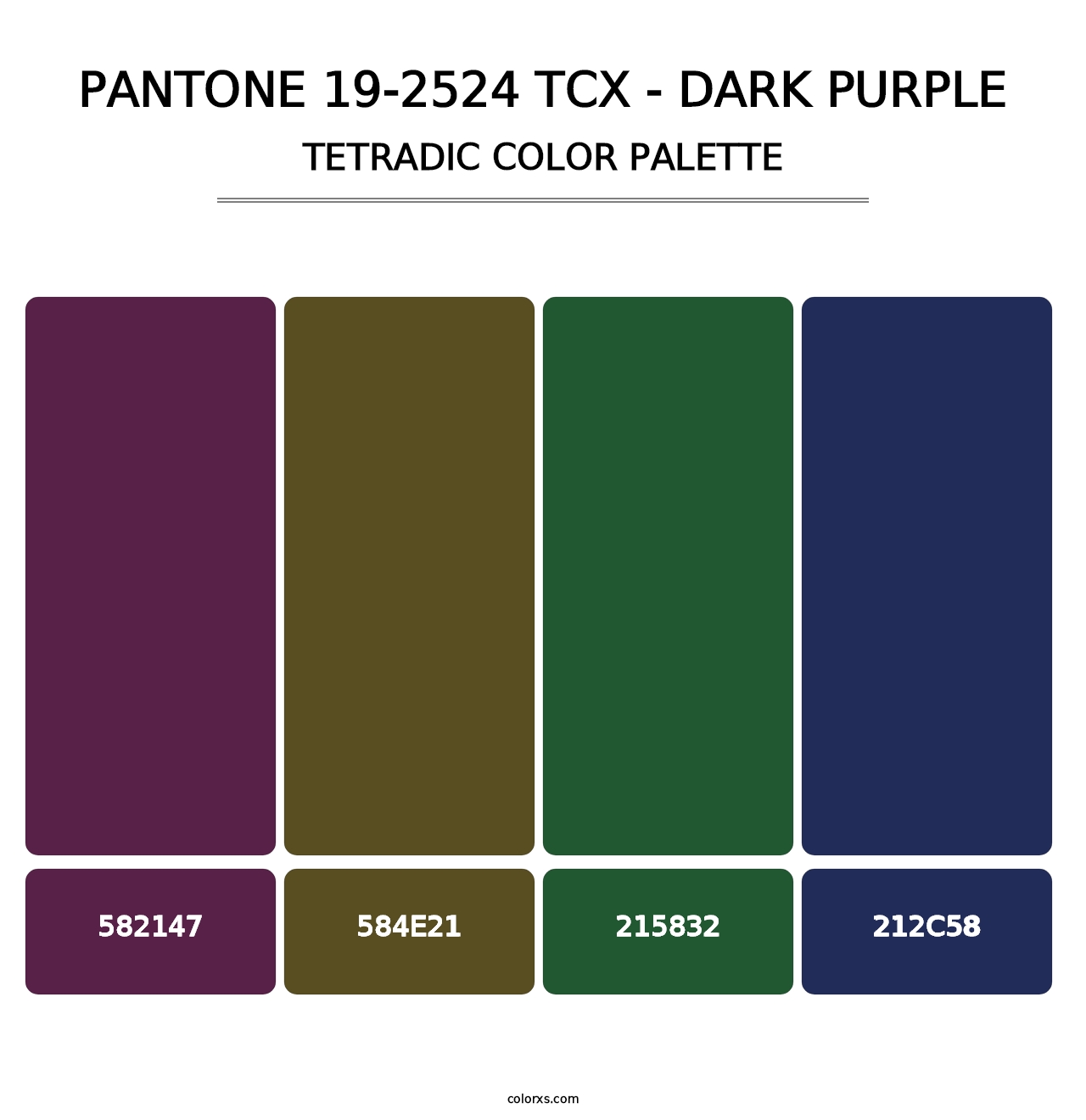 PANTONE 19-2524 TCX - Dark Purple - Tetradic Color Palette