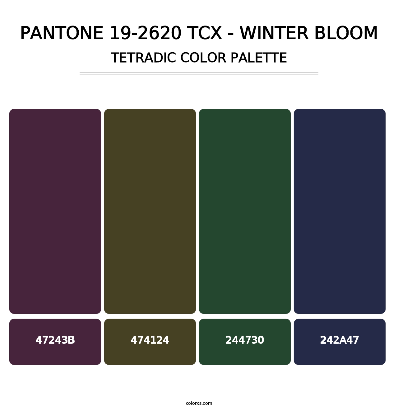 PANTONE 19-2620 TCX - Winter Bloom - Tetradic Color Palette