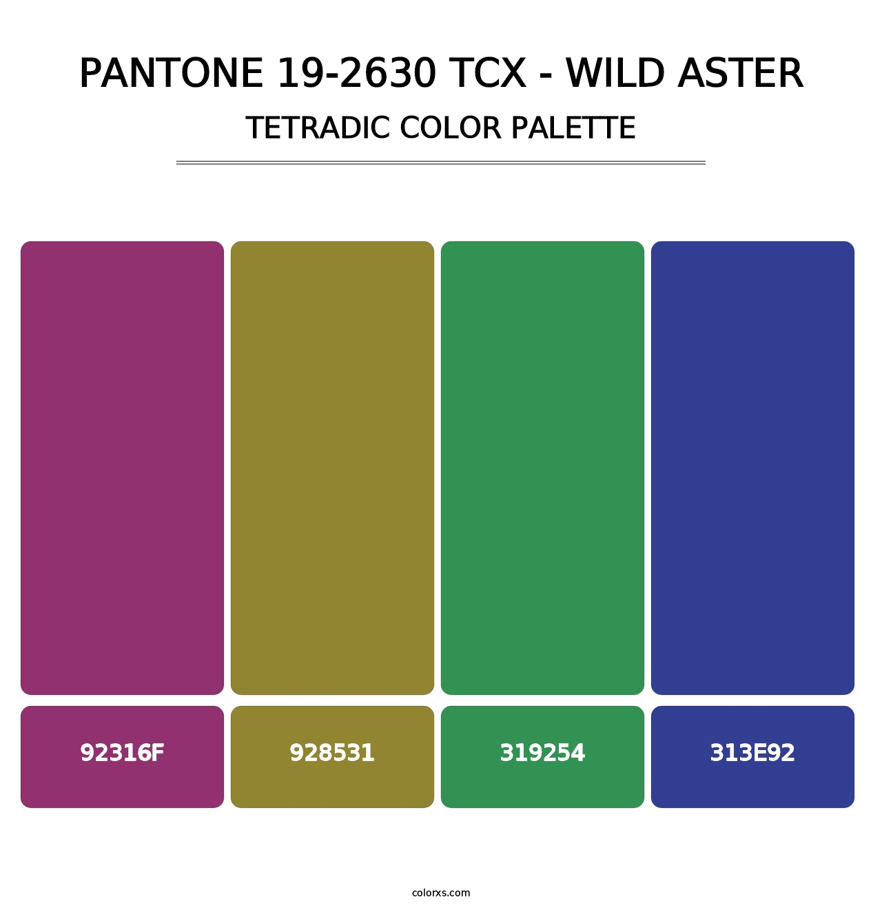 PANTONE 19-2630 TCX - Wild Aster - Tetradic Color Palette