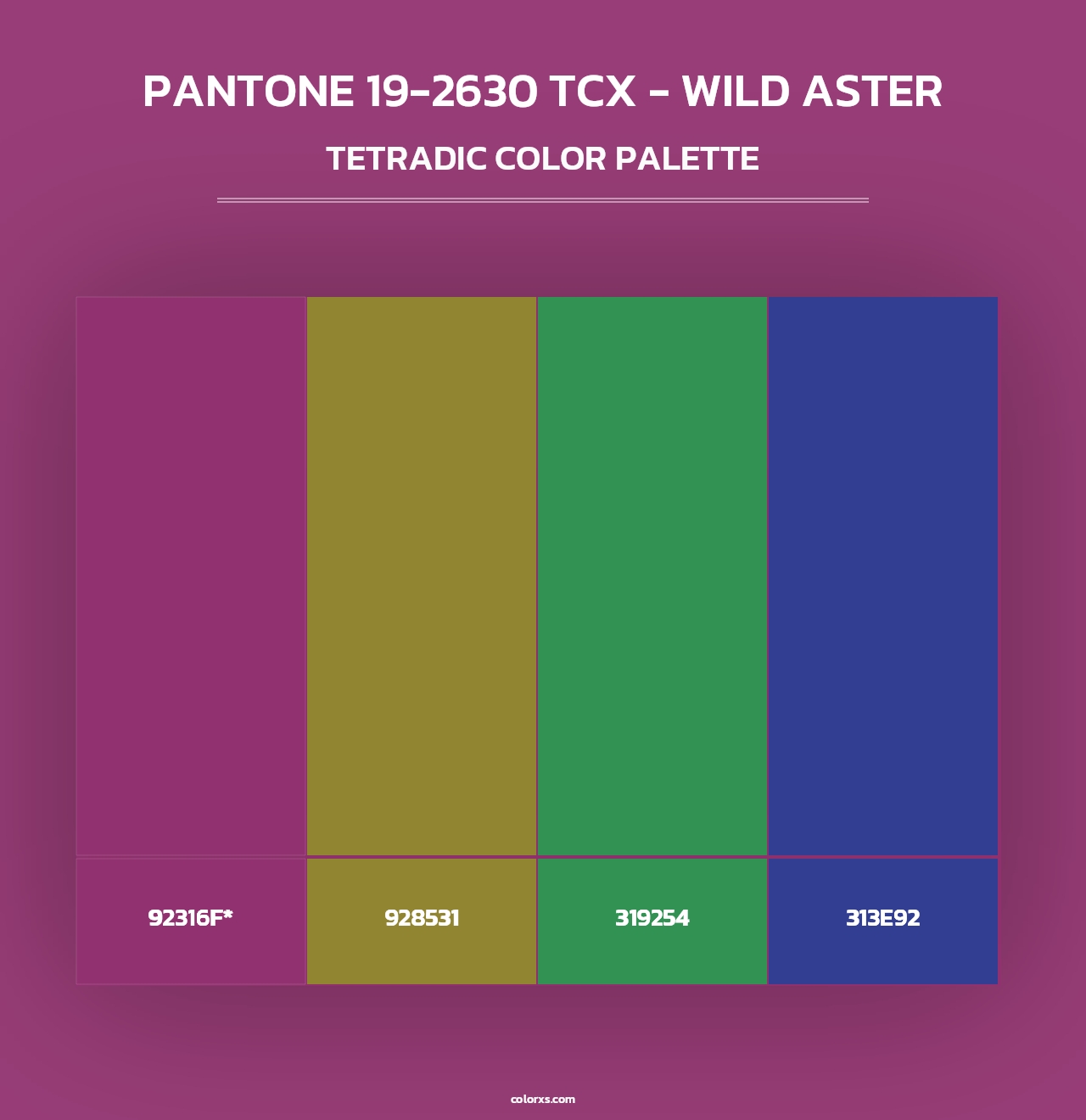 PANTONE 19-2630 TCX - Wild Aster - Tetradic Color Palette