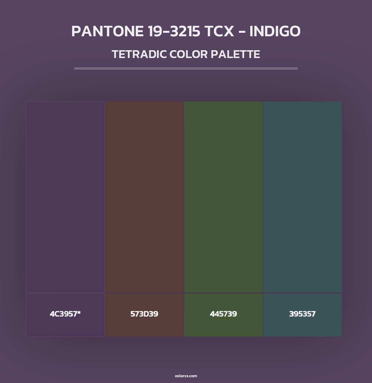 PANTONE 19-3215 TCX - Indigo - Tetradic Color Palette