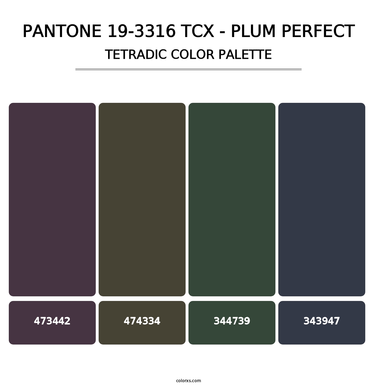 PANTONE 19-3316 TCX - Plum Perfect - Tetradic Color Palette