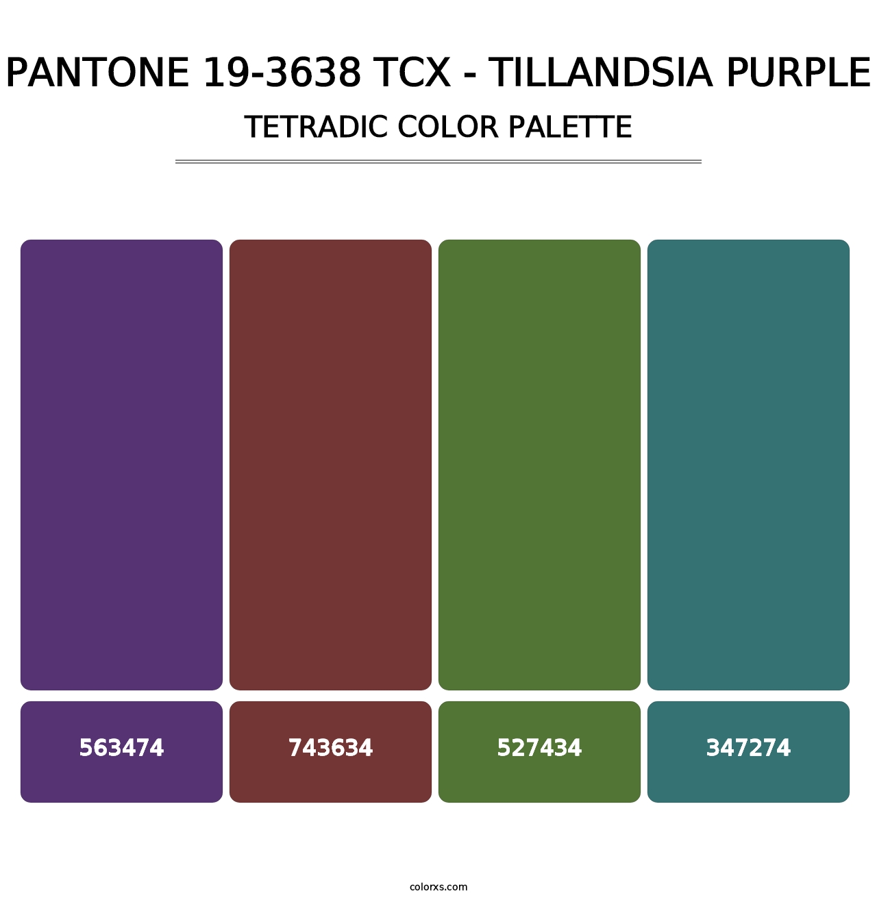 PANTONE 19-3638 TCX - Tillandsia Purple - Tetradic Color Palette