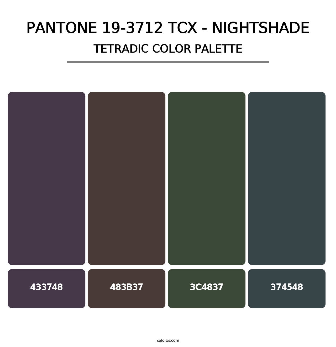 PANTONE 19-3712 TCX - Nightshade - Tetradic Color Palette