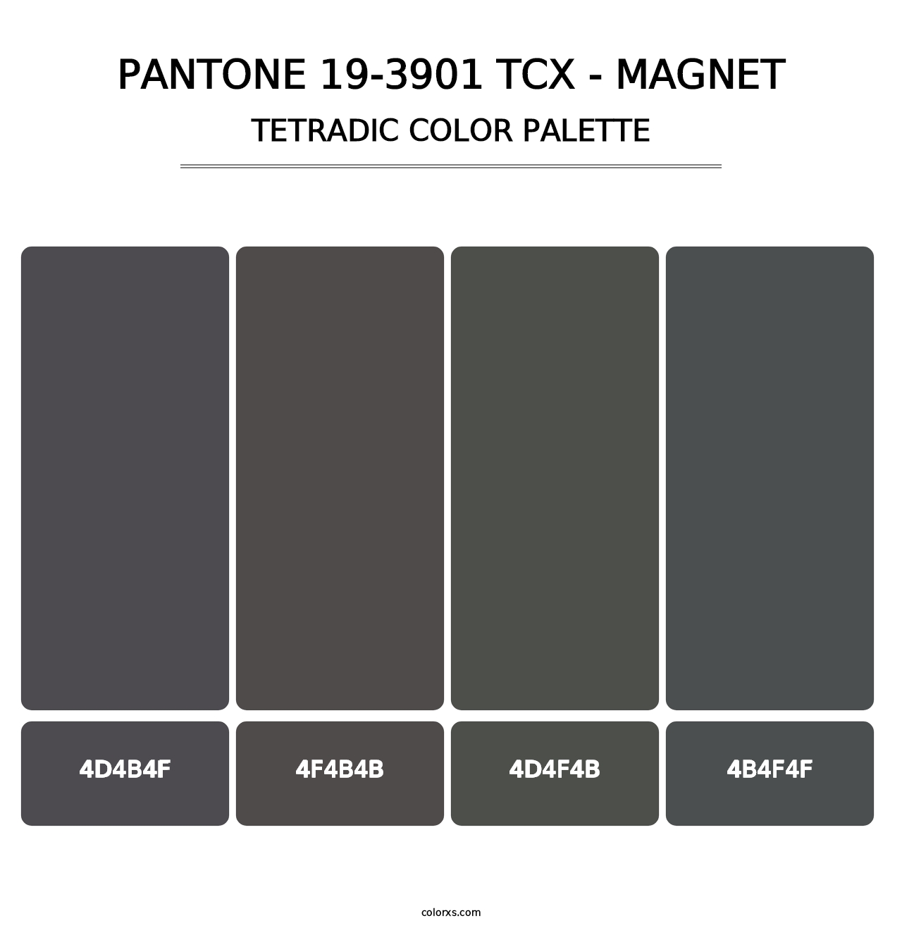 PANTONE 19-3901 TCX - Magnet - Tetradic Color Palette