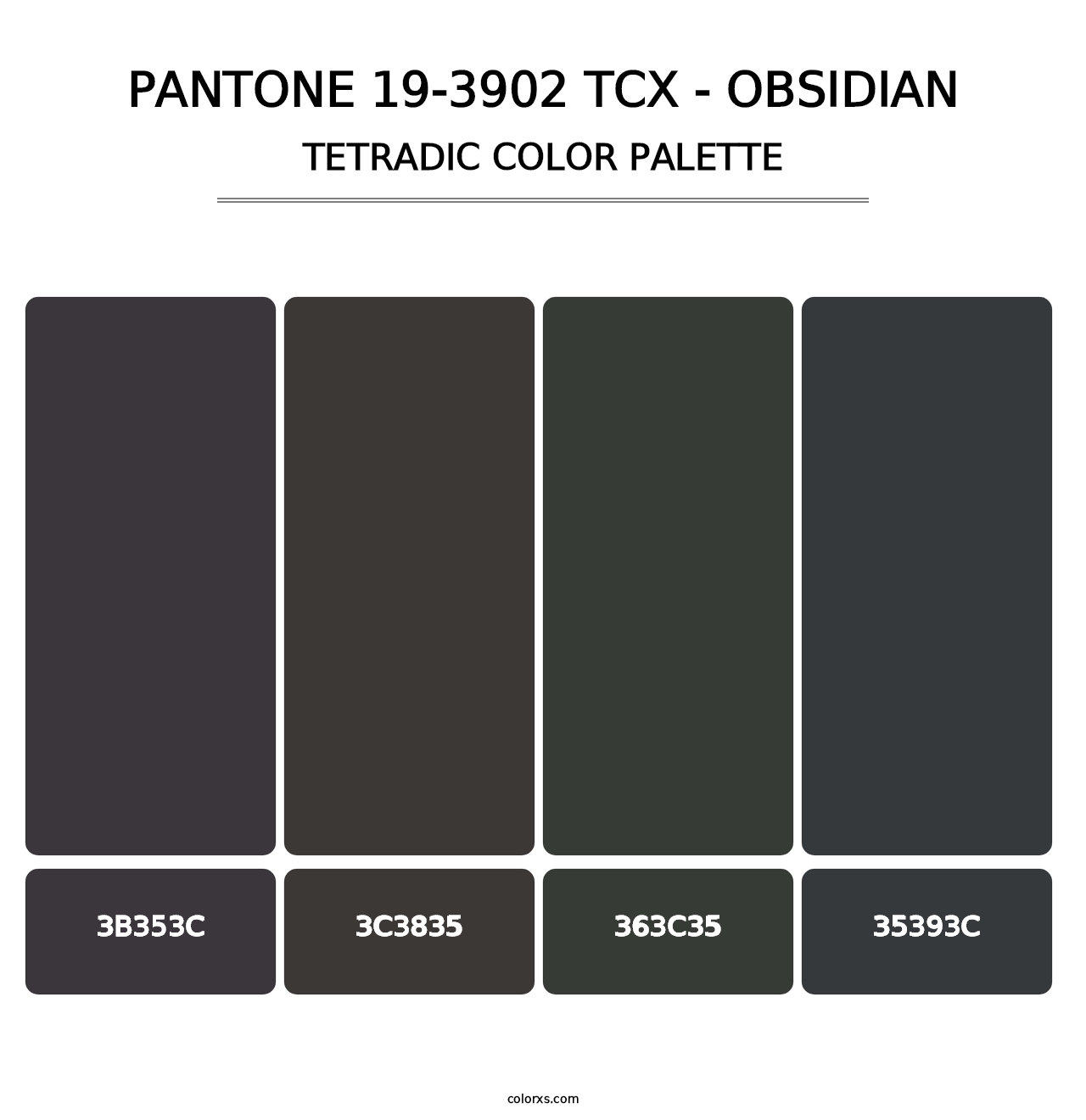 PANTONE 19-3902 TCX - Obsidian - Tetradic Color Palette