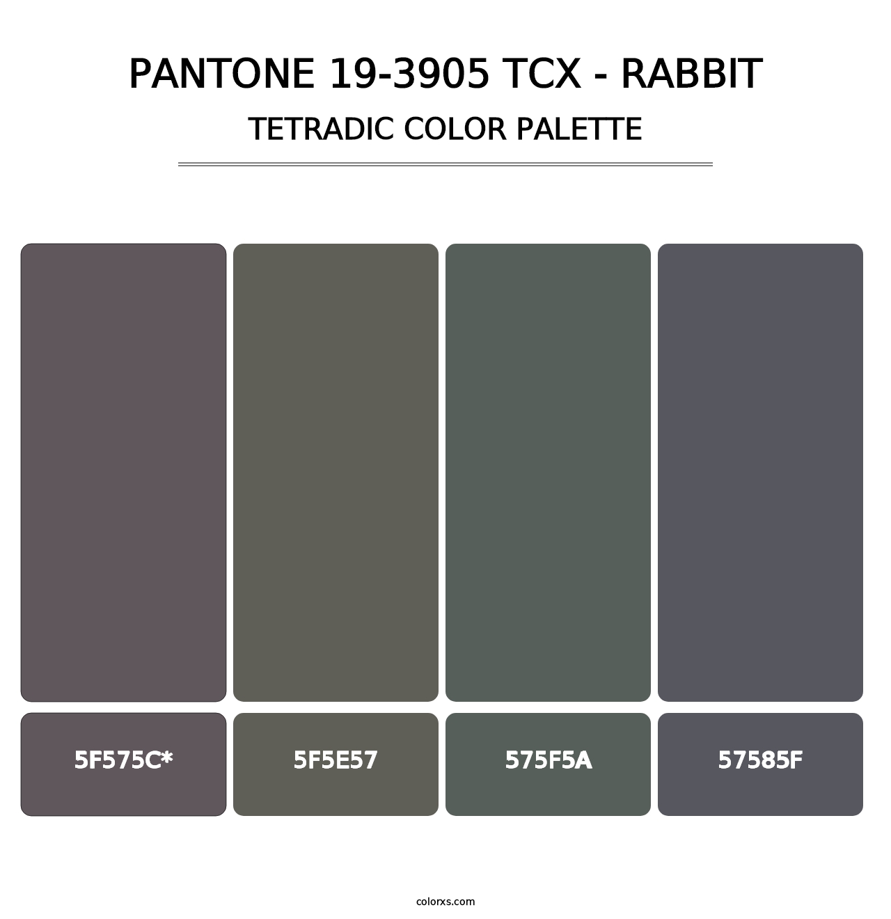 PANTONE 19-3905 TCX - Rabbit - Tetradic Color Palette