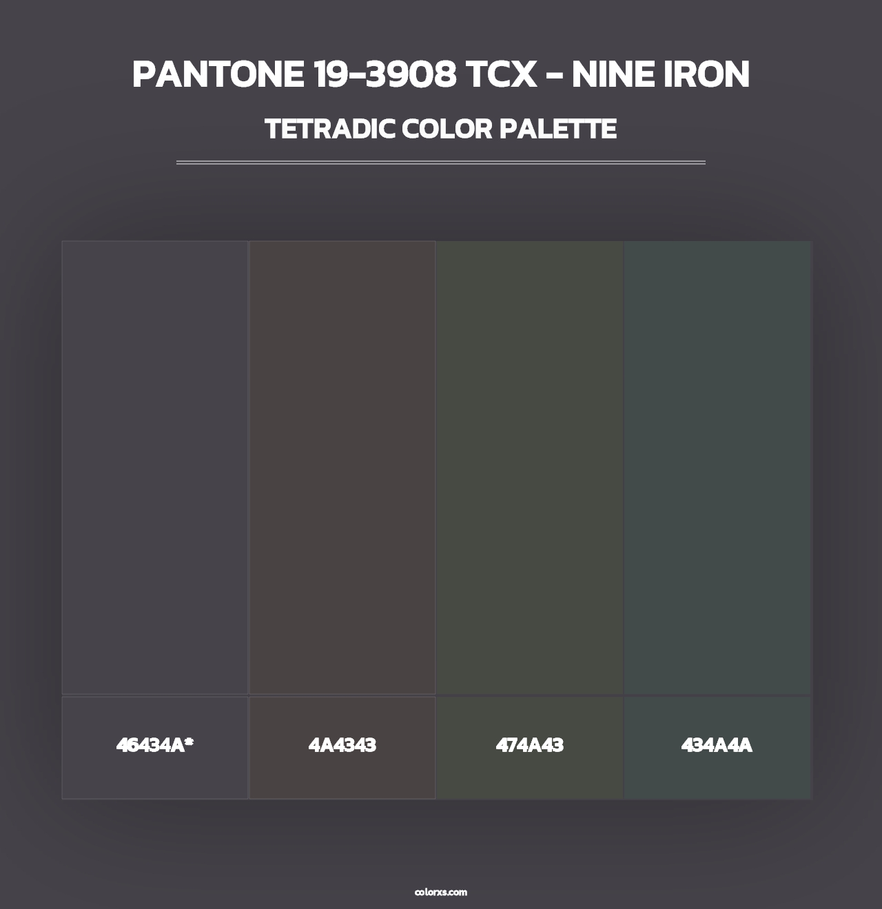 PANTONE 19-3908 TCX - Nine Iron - Tetradic Color Palette