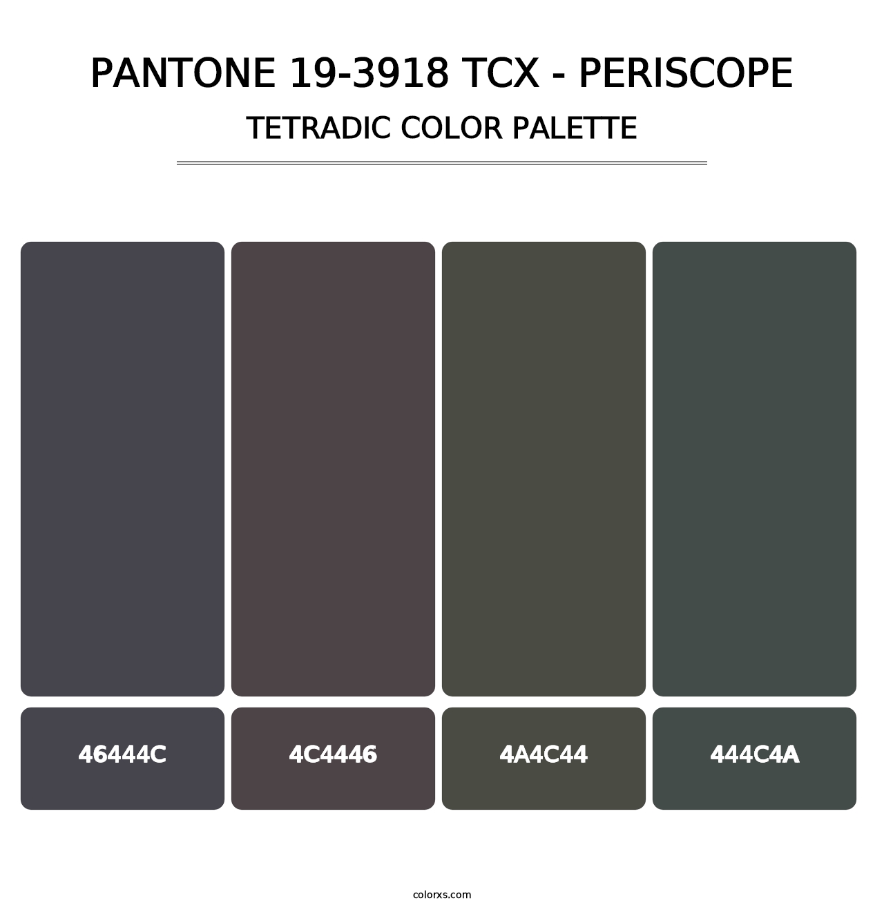 PANTONE 19-3918 TCX - Periscope - Tetradic Color Palette