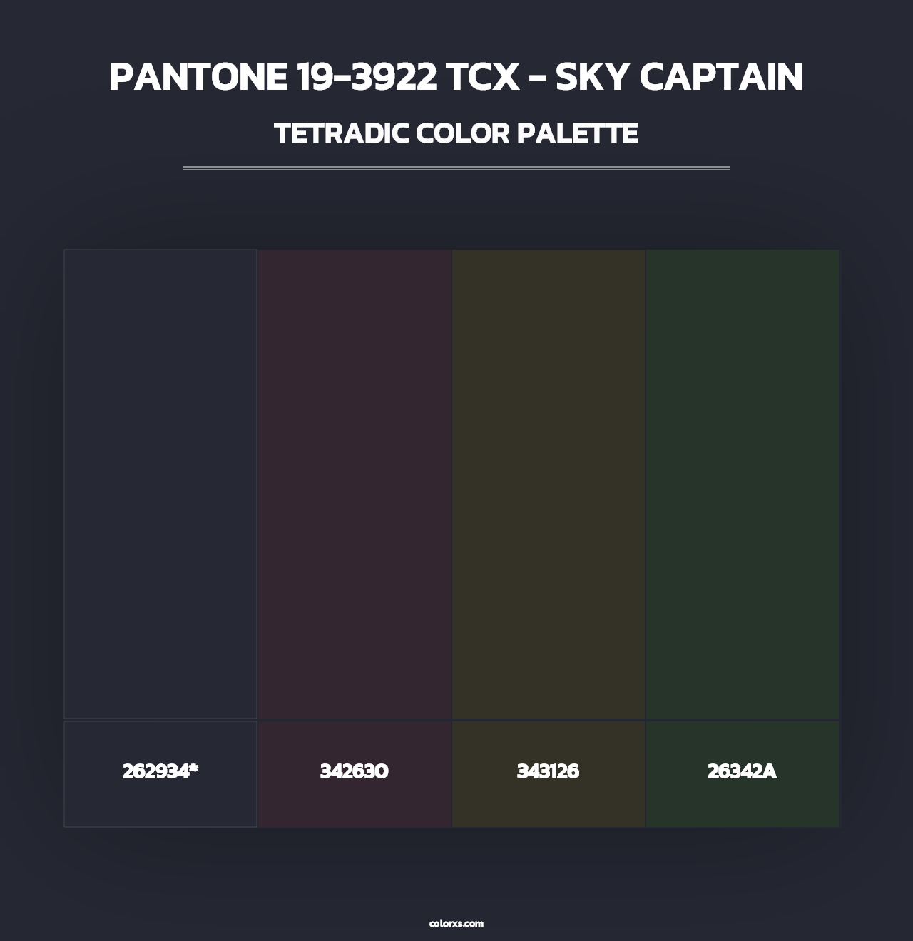 PANTONE 19-3922 TCX - Sky Captain - Tetradic Color Palette