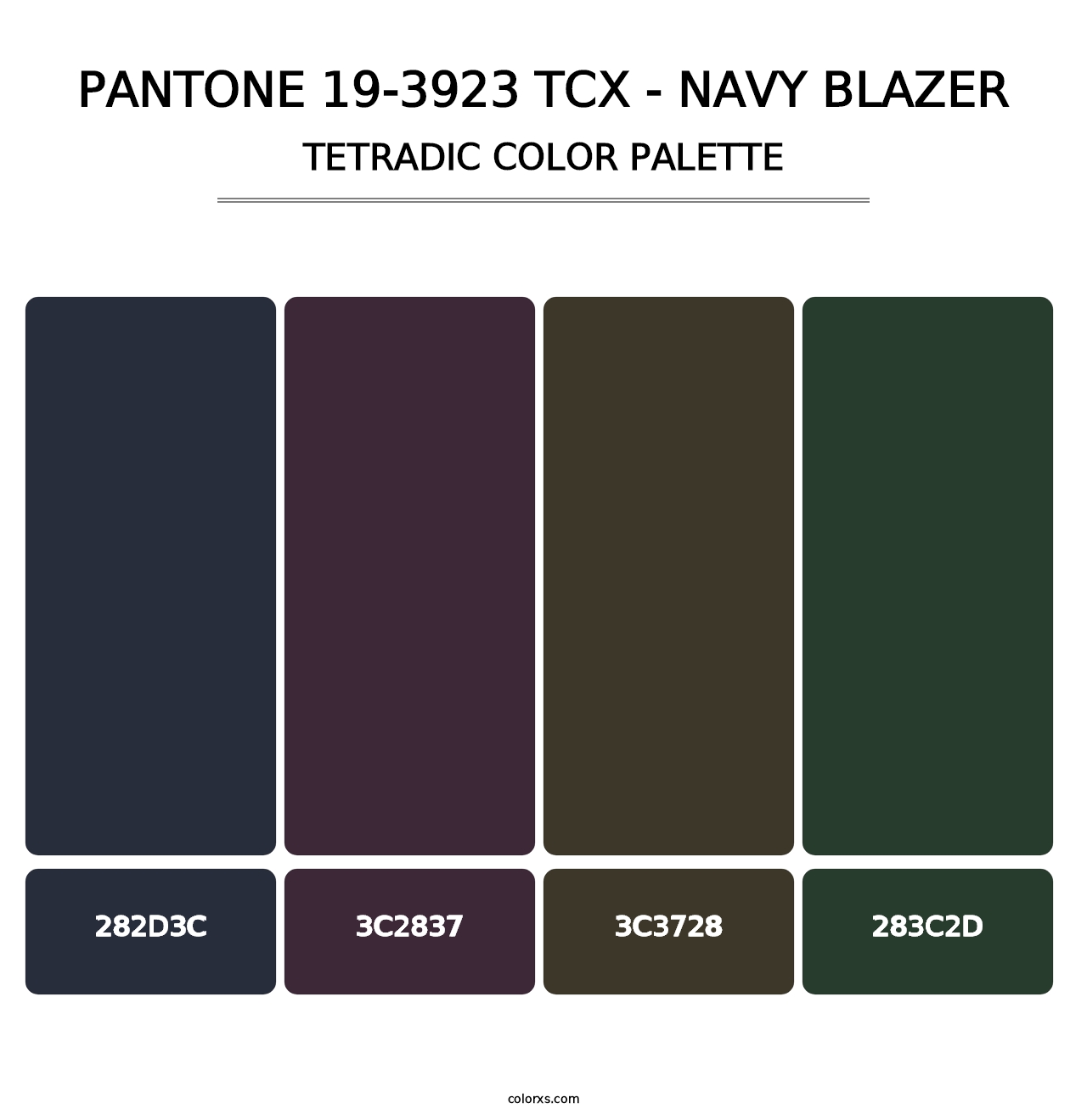 PANTONE 19-3923 TCX - Navy Blazer - Tetradic Color Palette
