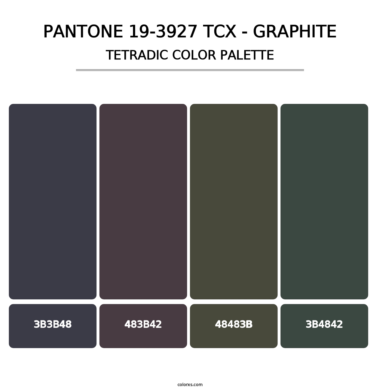 PANTONE 19-3927 TCX - Graphite - Tetradic Color Palette