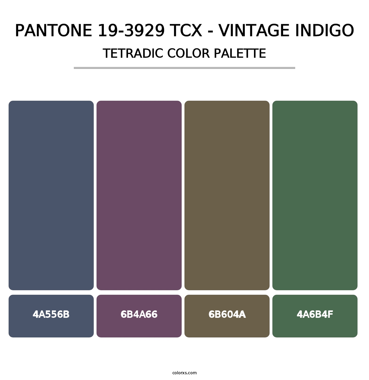 PANTONE 19-3929 TCX - Vintage Indigo - Tetradic Color Palette