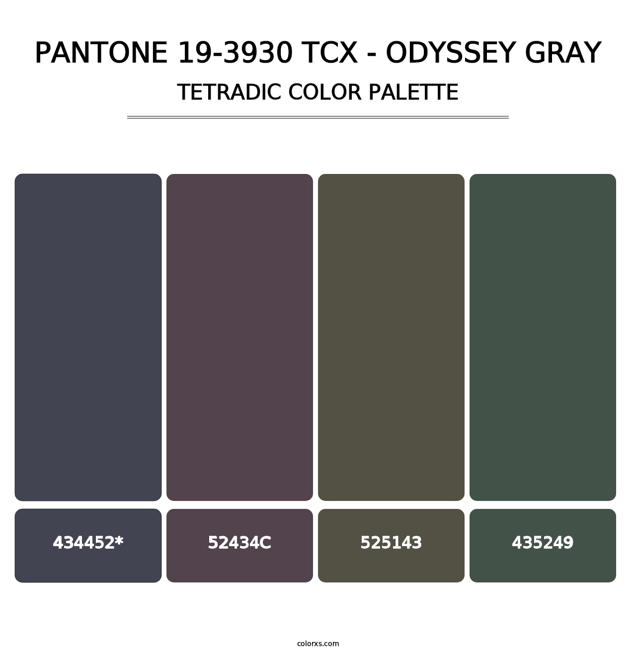PANTONE 19-3930 TCX - Odyssey Gray - Tetradic Color Palette