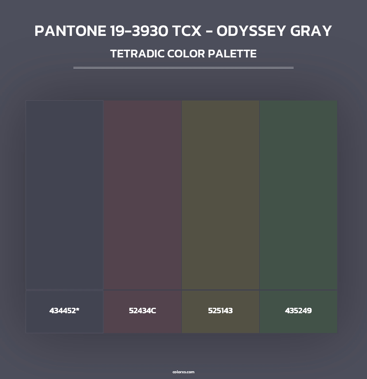 PANTONE 19-3930 TCX - Odyssey Gray - Tetradic Color Palette