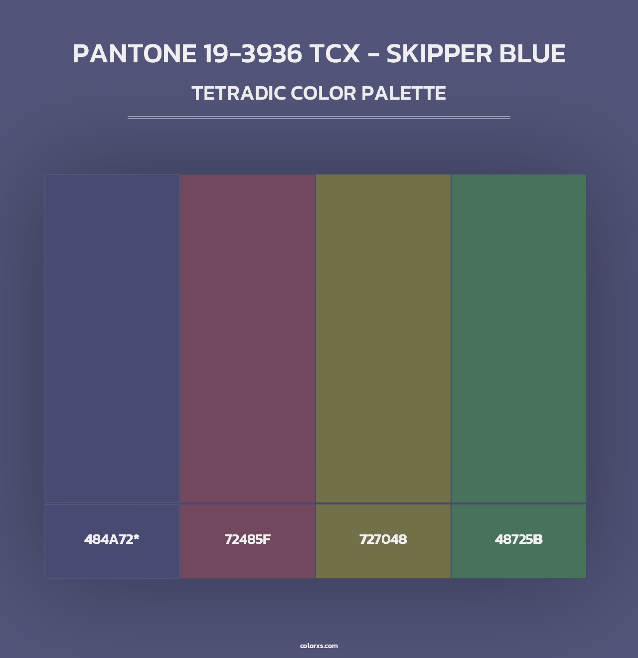 PANTONE 19-3936 TCX - Skipper Blue - Tetradic Color Palette